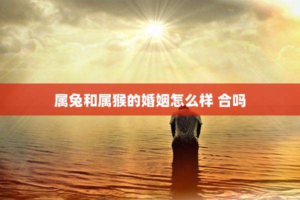 属兔和属猴的婚姻怎么样 合吗