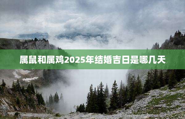 属鼠和属鸡2025年结婚吉日是哪几天
