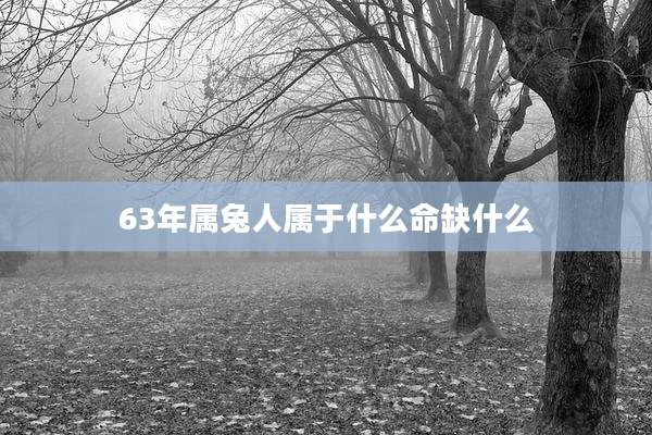 63年属兔人属于什么命缺什么