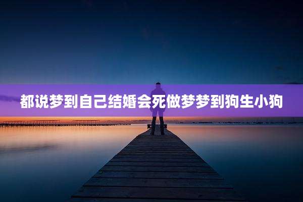都说梦到自己结婚会死做梦梦到狗生小狗
