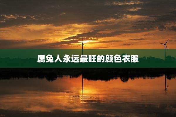 属兔人永远最旺的颜色衣服