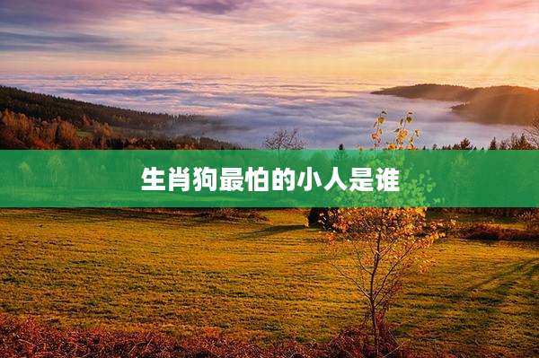 生肖狗最怕的小人是谁