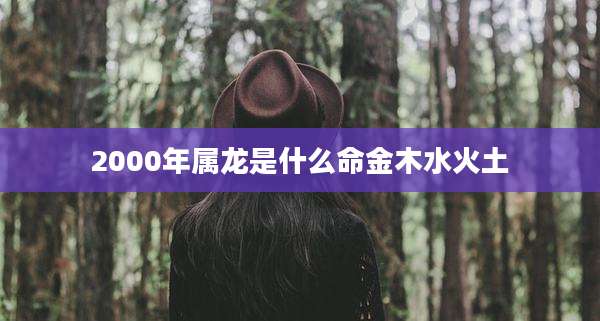 2000年属龙是什么命金木水火土