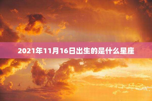 2021年11月16日出生的是什么星座