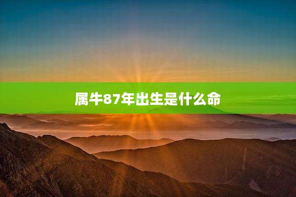 属牛87年出生是什么命