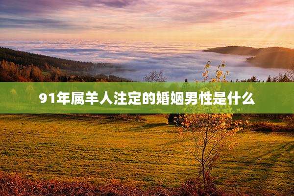 91年属羊人注定的婚姻男性是什么