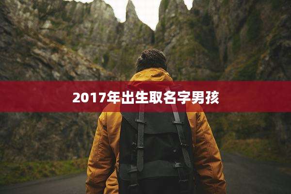 2017年出生取名字男孩