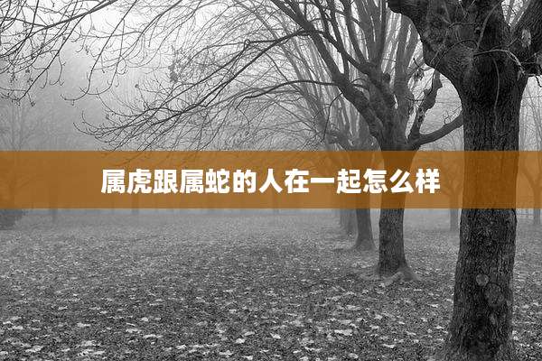 属虎跟属蛇的人在一起怎么样