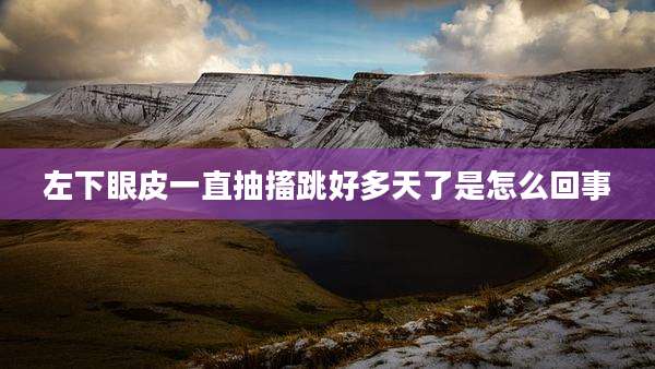 左下眼皮一直抽搐跳好多天了是怎么回事