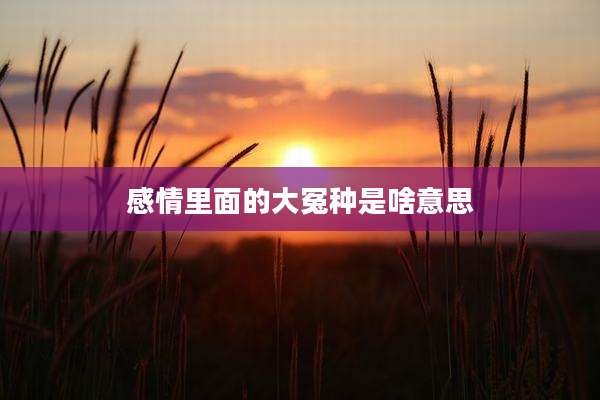 感情里面的大冤种是啥意思