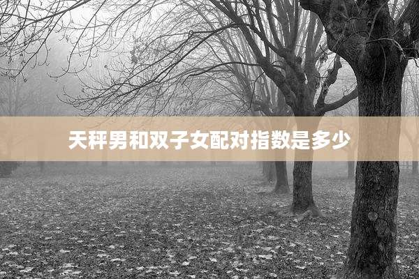 天秤男和双子女配对指数是多少