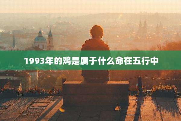 1993年的鸡是属于什么命在五行中