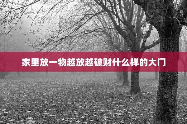 家里放一物越放越破财什么样的大门