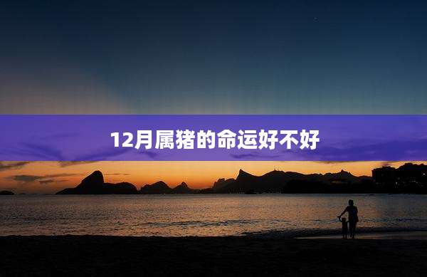 12月属猪的命运好不好