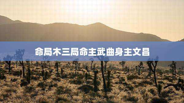 命局木三局命主武曲身主文昌