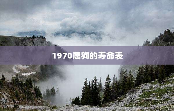 1970属狗的寿命表