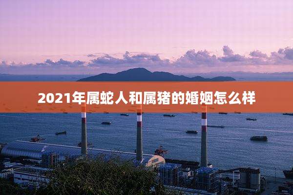 2021年属蛇人和属猪的婚姻怎么样