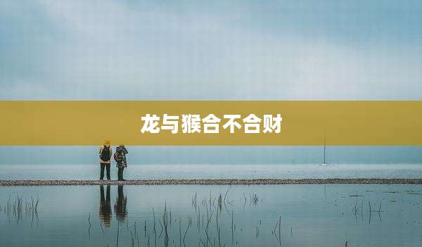 龙与猴合不合财