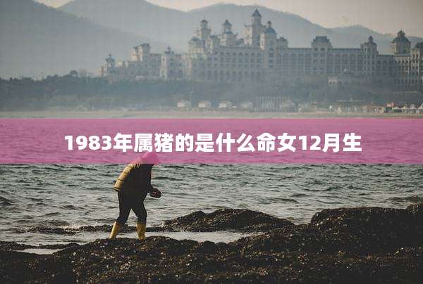 1983年属猪的是什么命女12月生