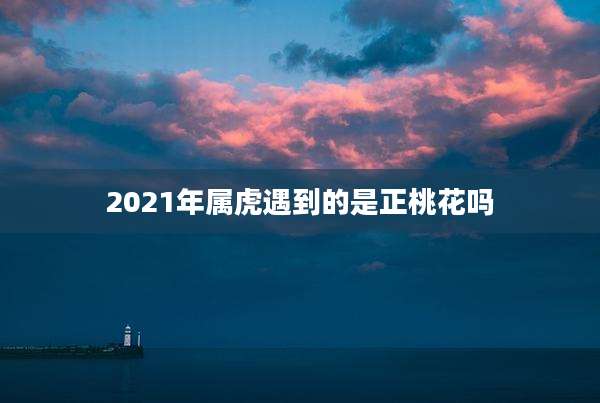 2021年属虎遇到的是正桃花吗