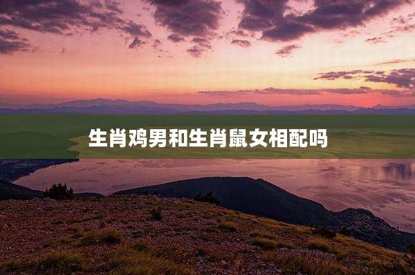 生肖鸡男和生肖鼠女相配吗