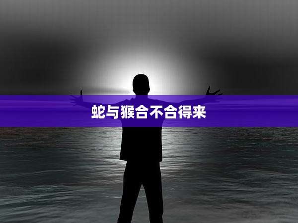 蛇与猴合不合得来