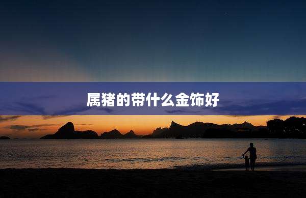 属猪的带什么金饰好