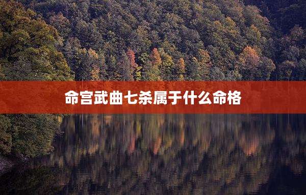 命宫武曲七杀属于什么命格