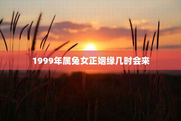 1999年属兔女正姻缘几时会来