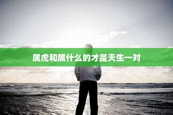 属虎和属什么的才是天生一对
