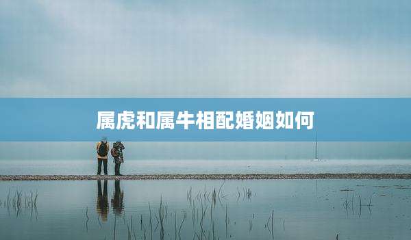 属虎和属牛相配婚姻如何