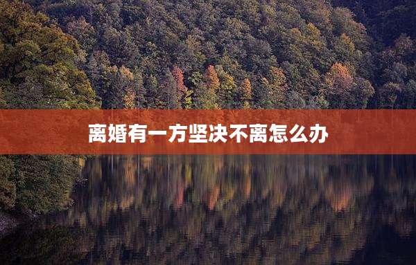 离婚有一方坚决不离怎么办
