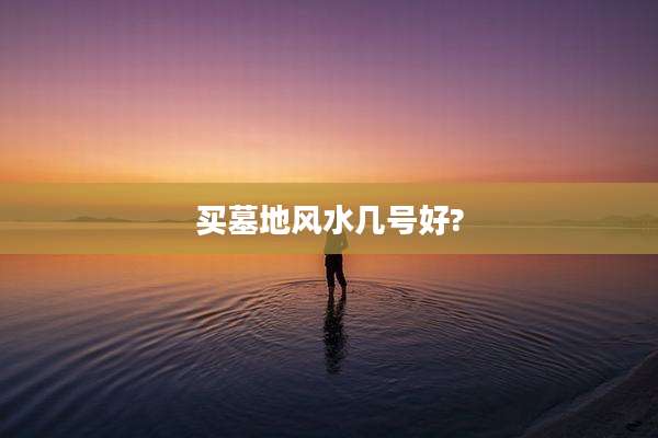 买墓地风水几号好?