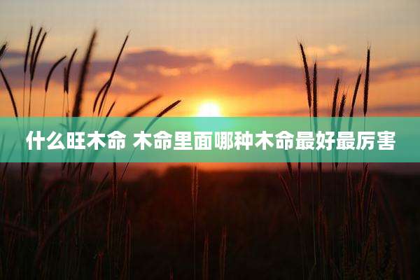 什么旺木命 木命里面哪种木命最好最厉害