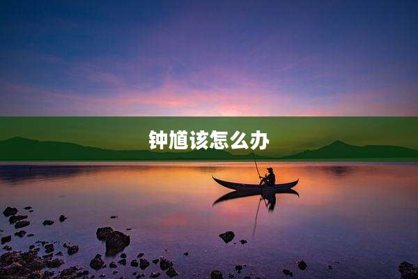 钟馗该怎么办