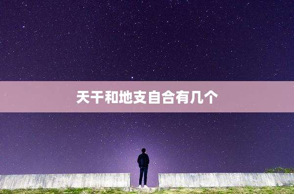 天干和地支自合有几个