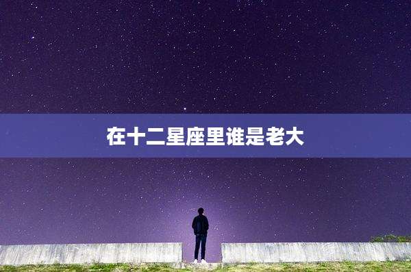 在十二星座里谁是老大