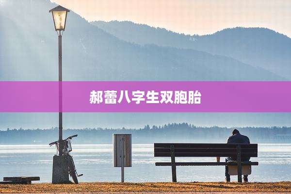 郝蕾八字生双胞胎