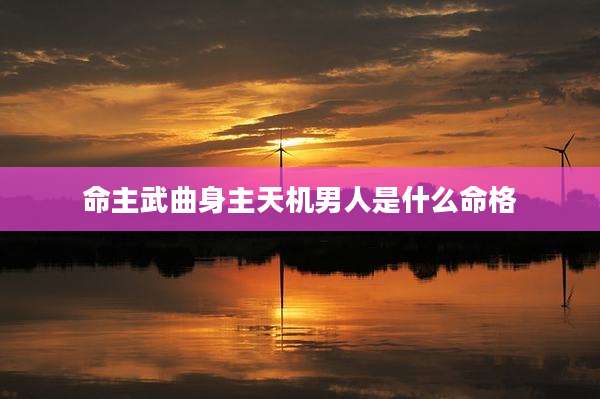 命主武曲身主天机男人是什么命格