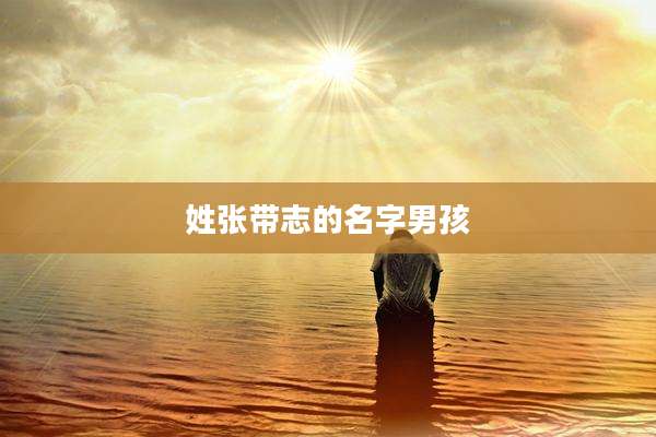 姓张带志的名字男孩