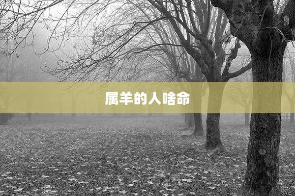 属羊的人啥命