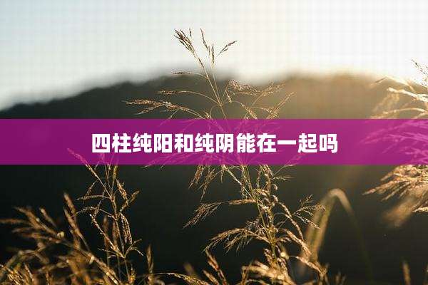 四柱纯阳和纯阴能在一起吗