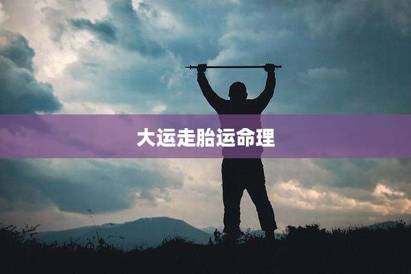 大运走胎运命理