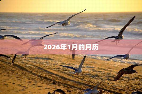 2026年1月的月历