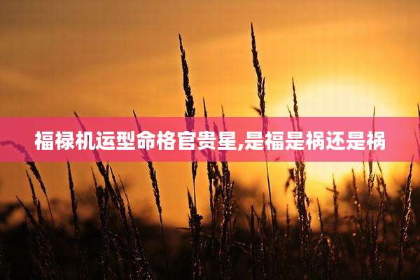 福禄机运型命格官贵星,是福是祸还是祸