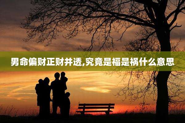 男命偏财正财并透,究竟是福是祸什么意思