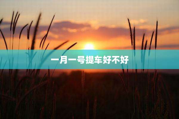 一月一号提车好不好