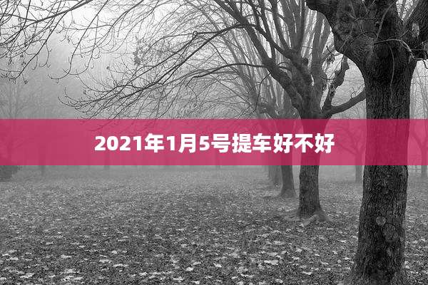 2021年1月5号提车好不好