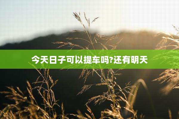 今天日子可以提车吗?还有明天