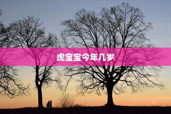 虎宝宝今年几岁